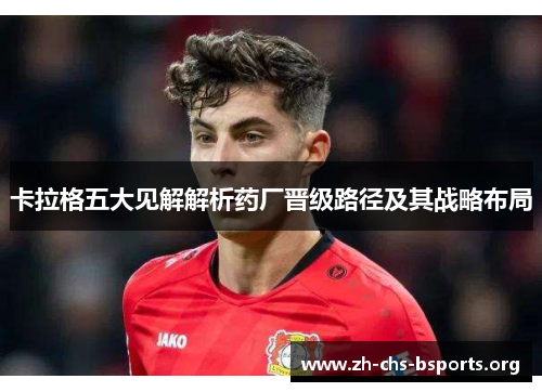 卡拉格五大见解解析药厂晋级路径及其战略布局