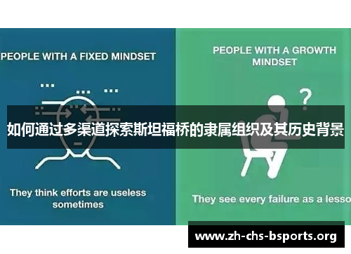 如何通过多渠道探索斯坦福桥的隶属组织及其历史背景