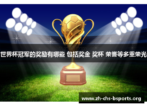 世界杯冠军的奖励有哪些 包括奖金 奖杯 荣誉等多重荣光