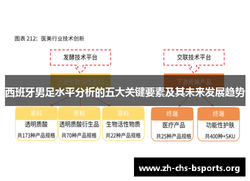 西班牙男足水平分析的五大关键要素及其未来发展趋势