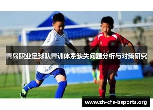 青岛职业足球队青训体系缺失问题分析与对策研究